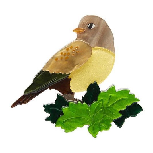 Erstwilder - Wondrous Warbler Brooch (Fleur Harris) - 20th Century Artifacts