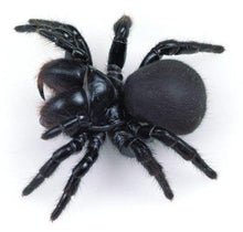 Load image into Gallery viewer, Erstwilder - Arachnid Adornments Spider Earrings (2020) - 20th Century Artifacts