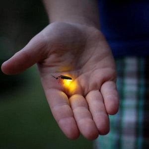 Erstwilder - Chasing Fireflies Brooch (2020) - 20th Century Artifacts