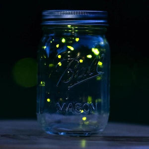 Erstwilder - Chasing Fireflies Brooch (2020) - 20th Century Artifacts