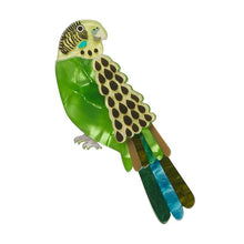 Load image into Gallery viewer, Erstwilder - Flossie the Budgie Brooch (Jocelyn Proust) - 20th Century Artifacts