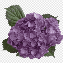 Load image into Gallery viewer, Erstwilder - Heartfelt Hydrangea Brooch (2020) purple - 20th Century Artifacts