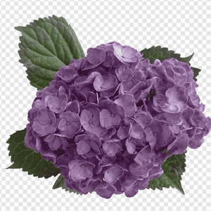 Erstwilder - Heartfelt Hydrangea Brooch (2020) purple - 20th Century Artifacts