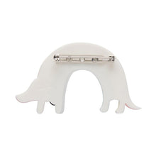 Load image into Gallery viewer, Erstwilder - Rainbow Ruff Brooch 2022 - 20th Century Artifacts