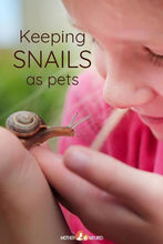 Load image into Gallery viewer, Erstwilder - Reticulated Rebel Snail Brooch (2020) - 20th Century Artifacts