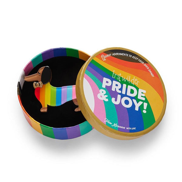 Erstwilder - Spiffy the Supportive Dog Brooch (2022) rainbow - 20th Century Artifacts