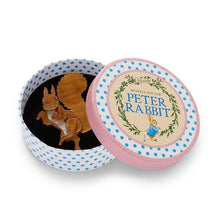 Load image into Gallery viewer, Erstwilder - Squirrel Nutkin Brooch 2019 - 20th Century Artifacts