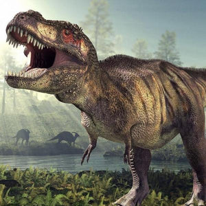 Erstwilder - Tenacious T Tyrannosaurus Brooch - 20th Century Artifacts