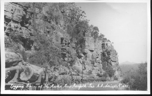 Postcard - Logging Train at the Rocks, New Norfolk, Tasmania circa 1950 - 20th Century Artifacts