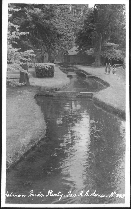 Postcard - Salmon Ponds, Plenty, Tasmania circa 1950 - 20th Century Artifacts