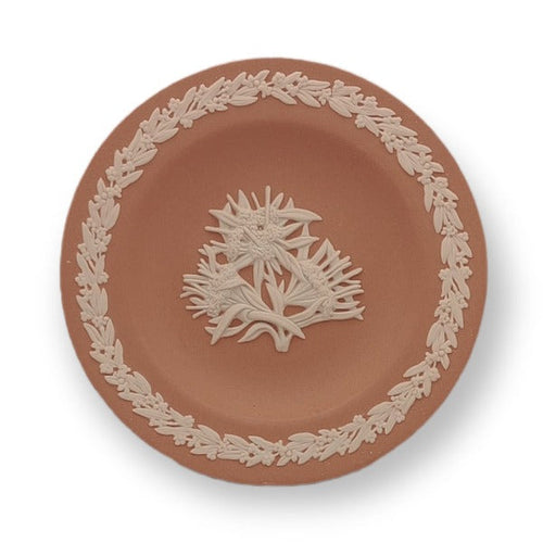 Wedgwood Jasperware Plate - Australian Flora - Mountain Devil - 20th Century Artifacts